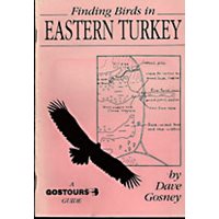 Finding birds in Eastern Turkey. Gostours guides.