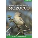 Where to watch birds in Morocco (Bergier & Bergier)