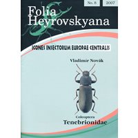 Tenebrionidae (Darkling Beetles) FHB 8