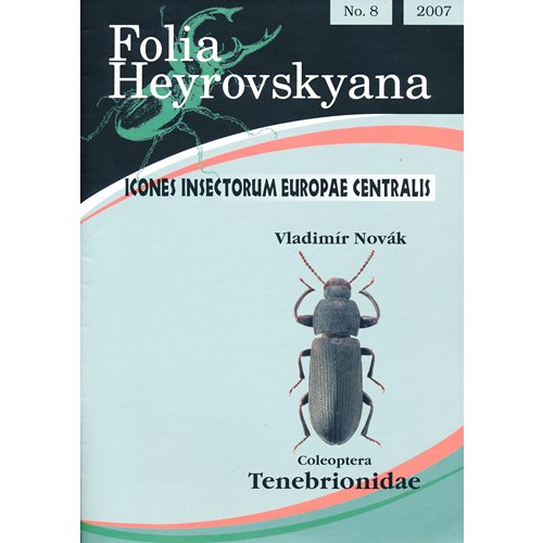 Tenebrionidae (svartbaggar) FHB 8