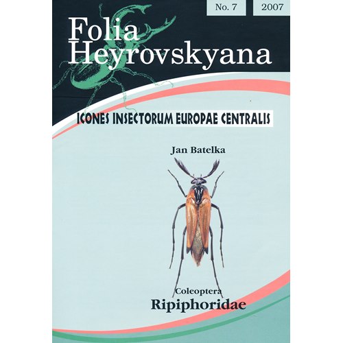 Ripiphoridae (kamhornsbaggar) FHB 7