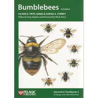 Bumblebees