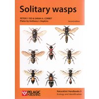 Solitary wasps