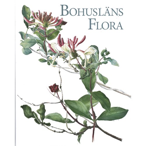 Bohusläns Flora (Blomgren & Falk)