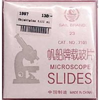 Microscope slides 50-pack