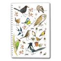Notebook Bird Sketches