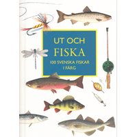 Ut och fiska (Bolle m.fl)