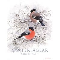 Vinterfåglar (Jonsson)
