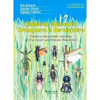 Blattaria, Mantodea, Orthoptera & Dermaptera of the Czech an