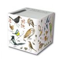 Padblock Cube Bird Sketches - 800 sheets