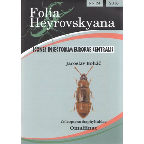 Staphylinidae, Omaliinae(stinkkortvingar) FHB 24 (Bohác, J.)