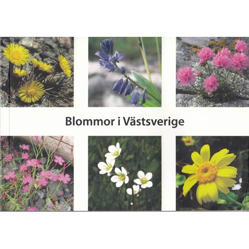 Blommor i Västsvergie (Blomgren m.fl.)