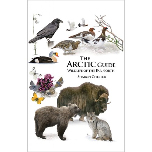 The Arctic Guide