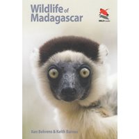 Wildlife of Madagascar (Behrens)