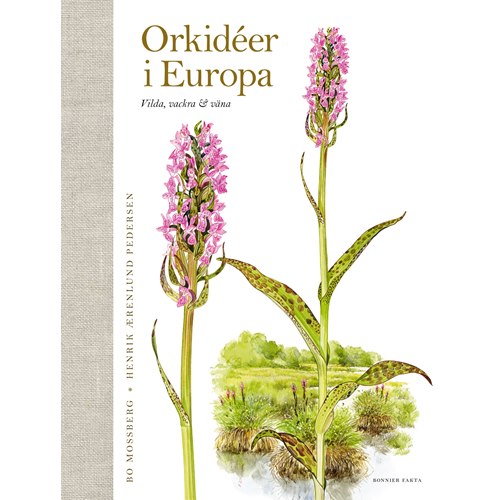 Orkidéer i Europa (Aerenlund Pedersen & Mossberg)