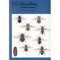 Blowflies