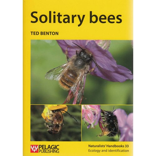 Solitary bees (Benton)