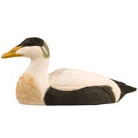 Common Eider Duck, Wood Carving