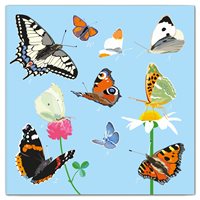 Dubbelt Kort Fjärilar
