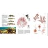 Havets djur och växter
