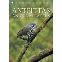 Antpittas and Gnateaters (Greeney)
