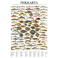 Plansch Fiskkarta