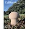 Puffballs/Röksvamp (Jeppson)