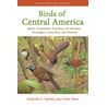 Birds of Central America (Valley & Dyer)