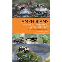 Amphibians of Europe, North Africa and the Middle East