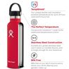 Hydro Flask, Olive Standard Mouth Flex 21 (621ml)