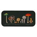 Tray mushrooms