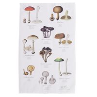 Towel mushrooms