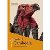 Birds of Cambodia