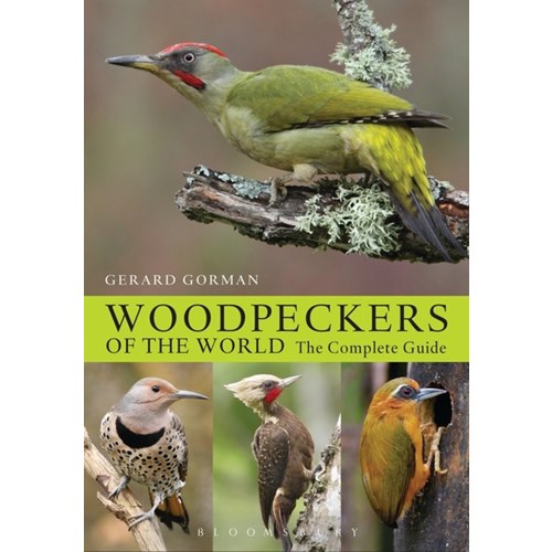 Woodpeckers of the world (Gorman)