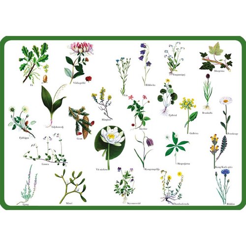 Placemat, Swedish flowers
