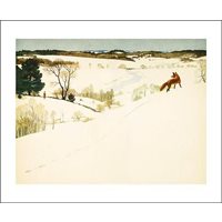 Card Fox in Winter Landscape