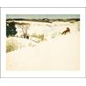Card Fox in Winter Landscape