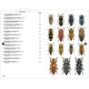 Phytophagous beetles of Europe Vol. 1 (Gaëtan du Chatenet)