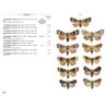 Moths of Europe volume 5