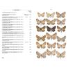 Moths of Europe. Vol. 2 (Leraut)