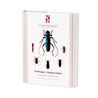 Skalbaggar : långhorningar. Coleoptera : cerambycidae