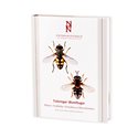 Tvåvingar : blomflugor. Diptera : syrphidae: eristalinae & microdontinae