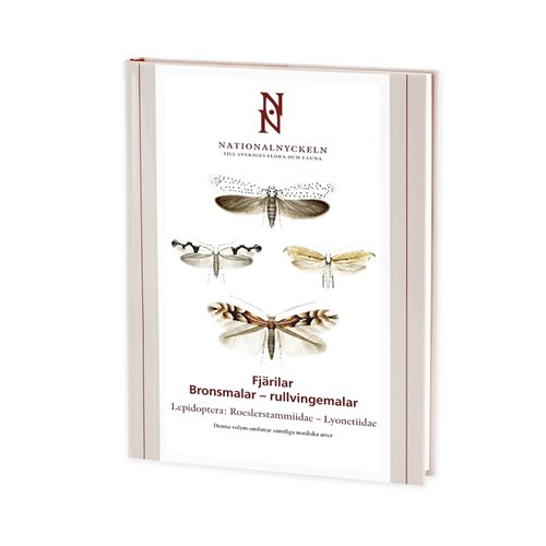 Fjärilar: Bronsmalar - rullvingemalar (Bengtsson) Nationalnyckeln