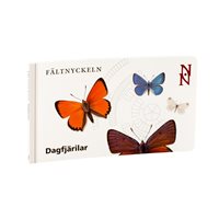 Dagfjärilar - Fältnyckeln. Nationalnyckeln