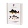 Ryggsträngsdjur: Strålfeniga fiskar (Kullander m.fl.) Nation