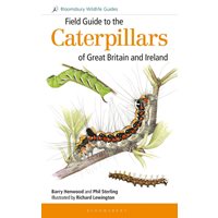 Field Guide to the Caterpillars of Great Britain and Ireland