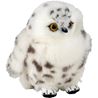 Soft Arctic Owl, PLAN