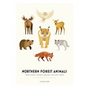 Plansch NORTHERN FOREST ANIMALS