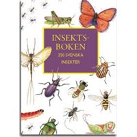 Insektsboken