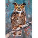 Puzzle great horned owl 500 pieces